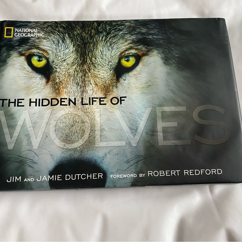The Hidden Life of Wolves Hardcover Book Excellent Condition
